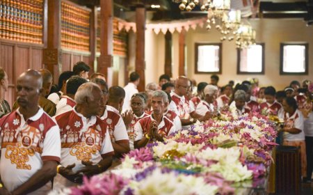 3 ஆவது வருடமாக முதியோரின் இதயங்களுக்கு ஆதரவளிக்கும் செரண்டிப் கோதுமை ஆலையின் ‘உத்தம தலதா’