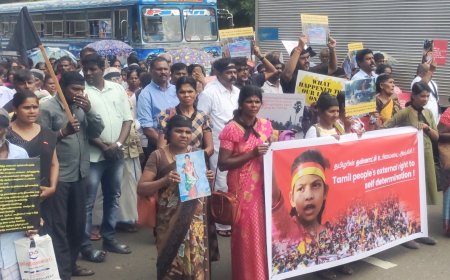பொதுசன வாக்கெடுப்பு, சுயநிர்ணய உரிமையை வலியுறுத்தி தமிழர்கள் தேசிய தினத்தை கரிநாளாக அனுஷ்டிப்பு