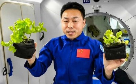 China’s Tiangong research generates oxygen, rocket fuel in major space exploration leap