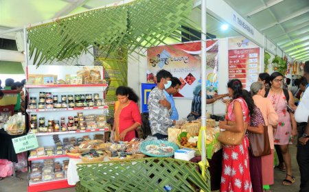 நுண் மற்றும் சிறிய அளவிலான தொழில்முனைவோர் 150 பேருடன் 2025ஆம் ஆண்டிற்கான கெமி புபுதுவ புத்தாண்டுச் சந்தையை BMICHஇல் நடத்திய HNB
