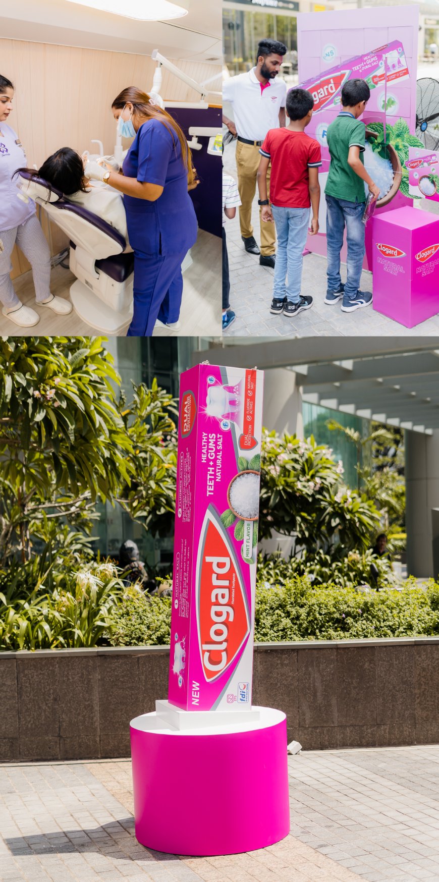 Clogard Natural Salt Toothpaste Returns with a Renewed Focus on Gum Health and Strong Teeth