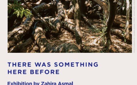 There Was Something Here Before – Exhibition by Zahira Asmal