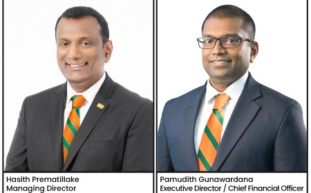 Fitch Assigns Hayleys Fentons ‘A+(lka)’ National Rating for the First Time