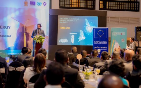 Teejay Lanka: Weaving the Future of Sustainable Supply Chains
