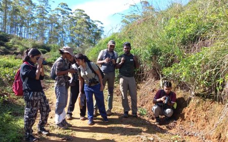 Leading Climate Resilience from Sri Lanka’s Tea Fields